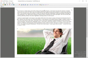 Captura de pantalla de un archivo .fpe en Free PDF Editor